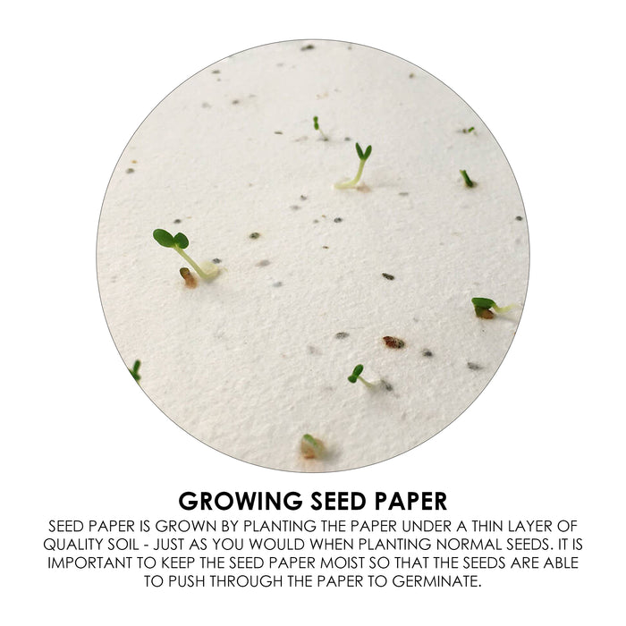 Corn Poppy Seed Sticky Note Pad - Custom Promotional Product