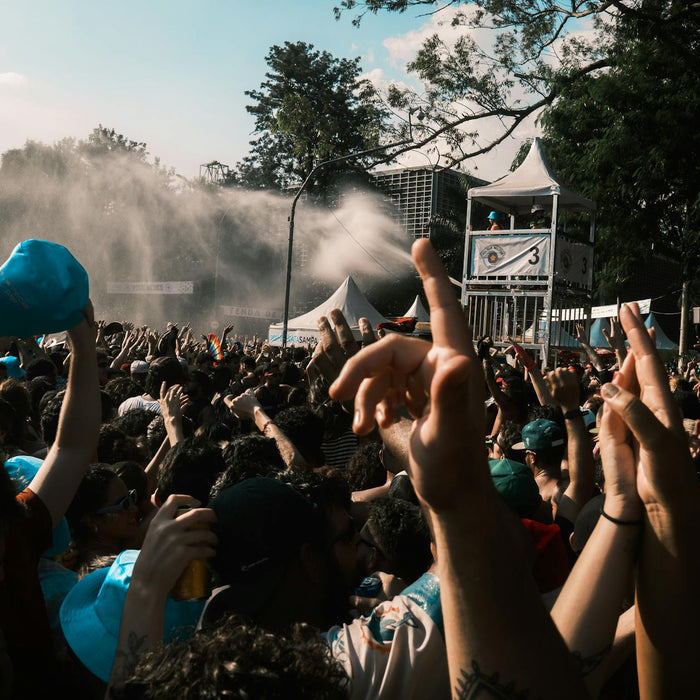Vibrant crowd enjoying an outdoor music festival on a sunny day.
