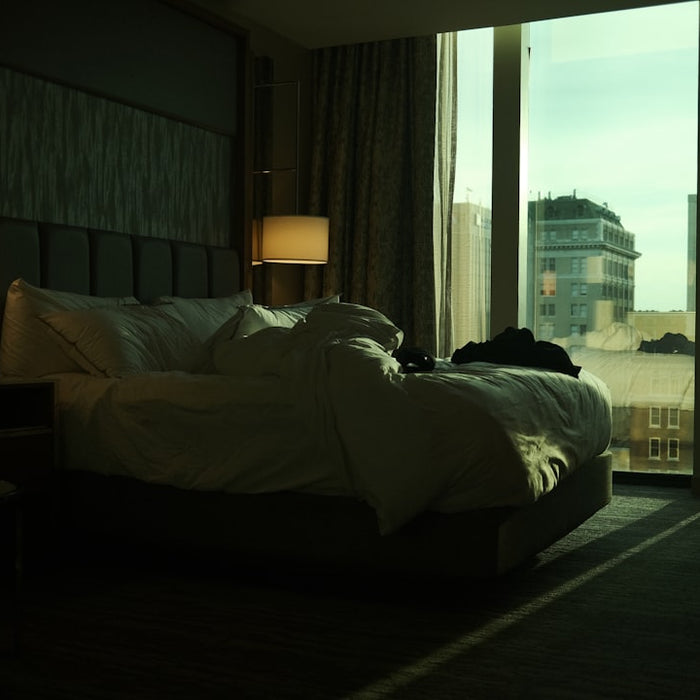 a bedroom with a large bed and a large window