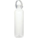 Alti 630 ml RCS Recycled Plastic Water Bottle - A drink bottle made of clear recycled plastic, featuring a handle and a screw-on cap. It has a simple, sleek design.