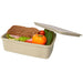 Seasons Dovi 800 ml Lunch Box - A beige lunch box containing a sandwich, tomato, cucumber, and capsicum, with a lid partially open.