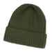Denali Beanie - A green beanie with a ribbed design, featuring a folded cuff. It has a logo on it.