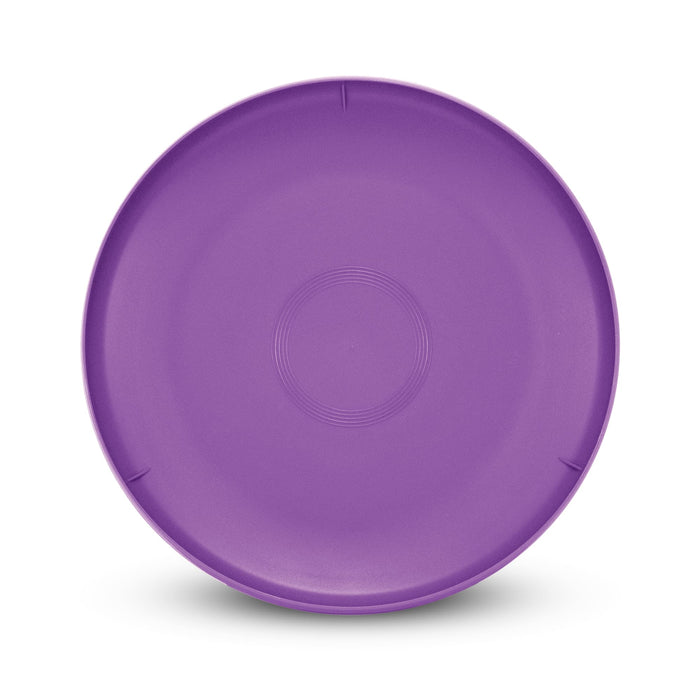 Aero Flyer - Large - A large purple Aero Flyer with a smooth surface and a central design, featuring a branding logo.