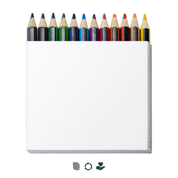 Staedtler Colouring Pencil Set of 12 - A box of 12 colouring pencils in various colours, featuring a simple design and a logo on the packaging.