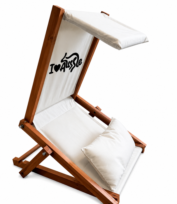 Foldable Beach Chair with Canopy