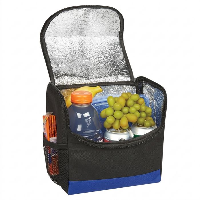 Insulated Lunch Cooler Bag