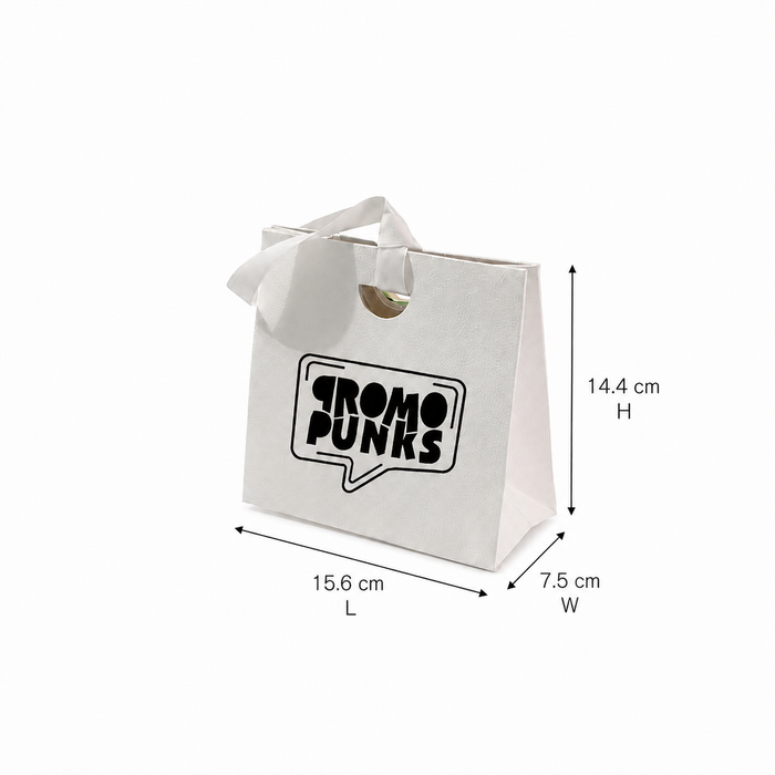 Paper Gift Bags with Ribbon Handles