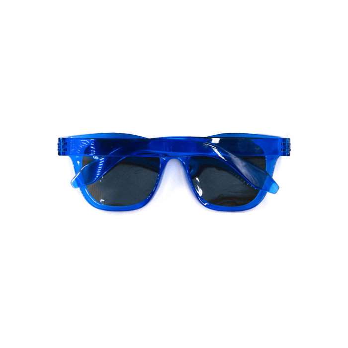 Summer Polarised Sunglasses - A pair of blue, polarised sunglasses with dark lenses and a sleek design. Features a logo on the side.