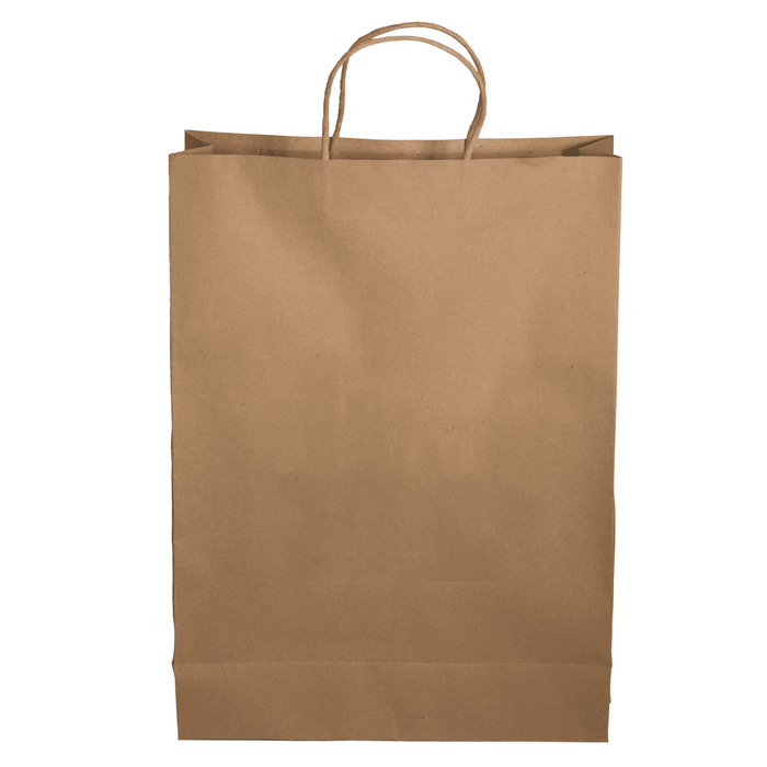 Paper Shopping Bag - A brown paper shopping bag with twisted handles and a plain surface, featuring a logo.