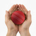 High Bounce Cricket Ball - A red cricket ball held gently in two hands, featuring distinctive seam markings. The image has a logo.