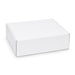 Custom Box with Locking Lid 360 x 305 x 105mm - A white box with a locking lid, measuring 360 x 305 x 105mm. It features a logo on the side.