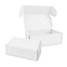Custom Box with Locking Lid 410 x 255 x 150mm - A white custom box with a locking lid, featuring an open lid and a smaller box beside it.