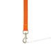 Printed Dog Lead - An orange dog lead with a silver metal clip, featuring a durable nylon strap.