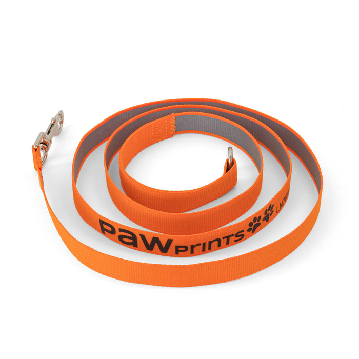 Printed Dog Lead - An orange printed dog lead with a silver clip and a logo along one side.