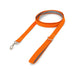 Printed Dog Lead - An orange printed dog lead with a silver clip and grey lining, featuring a soft grip handle.