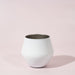 Shiraz Detachable Wine Glass - A white wine glass with a sleek, modern design featuring a metallic interior.