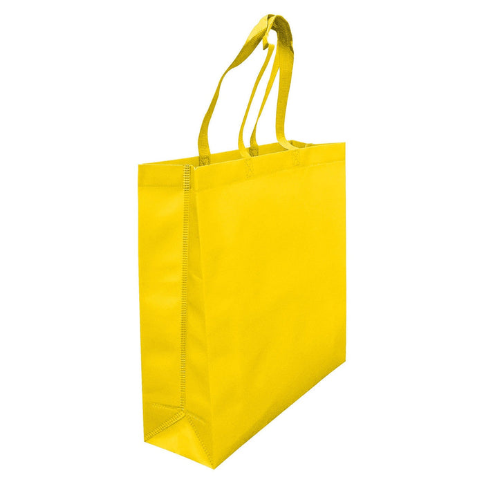 LAMINATED NON WOVEN BAG WITH LARGE GUSSET