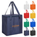NON WOVEN COOLER BAG WITH ZIPPED LID
