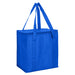 NON WOVEN COOLER BAG WITH ZIPPED LID