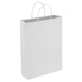 PAPER TRADE SHOW BAG THIN HANDLES