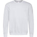 Men's Sweatshirt