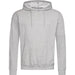 Men's Hooded Sweatshirt